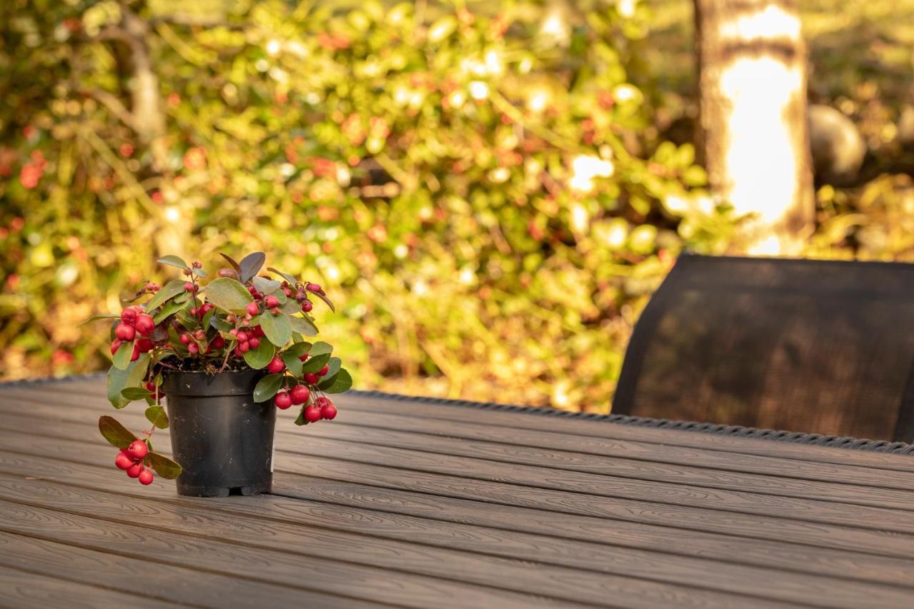 גסטייגוילר Chalet Waeschhuesli Near Interlaken, Grindelwald And Lauterbrunnen מראה חיצוני תמונה